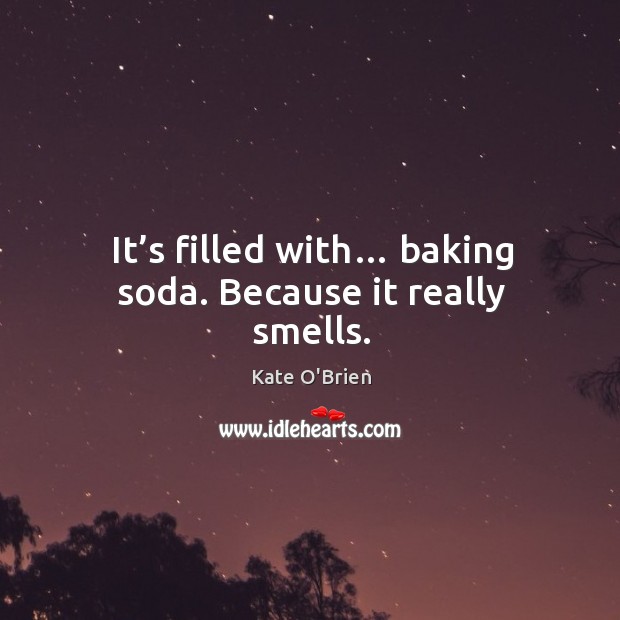 It’s filled with… baking soda. Because it really smells. Kate O’Brien Picture Quote