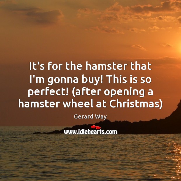 It’s for the hamster that I’m gonna buy! This is so perfect! ( Christmas Quotes Image
