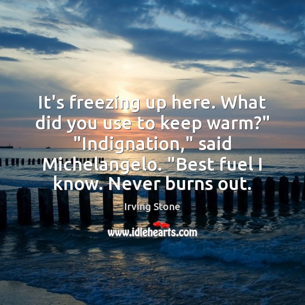 It’s freezing up here. What did you use to keep warm?” “Indignation,” Irving Stone Picture Quote