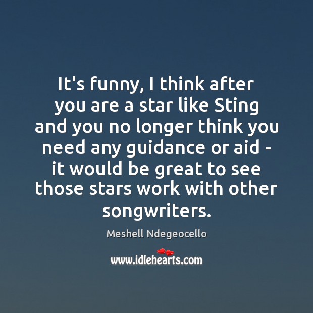 It’s funny, I think after you are a star like Sting and Meshell Ndegeocello Picture Quote