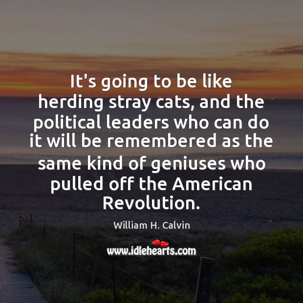 It’s going to be like herding stray cats, and the political leaders Image