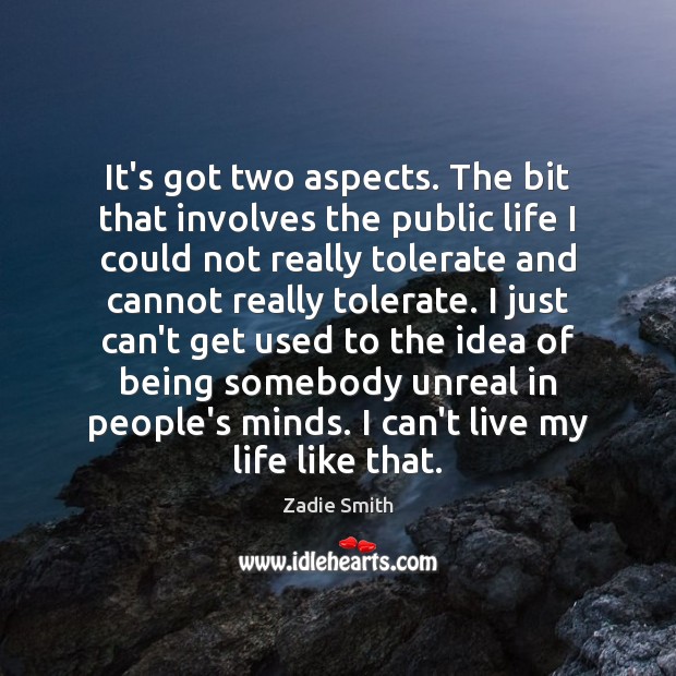 It’s got two aspects. The bit that involves the public life I Zadie Smith Picture Quote