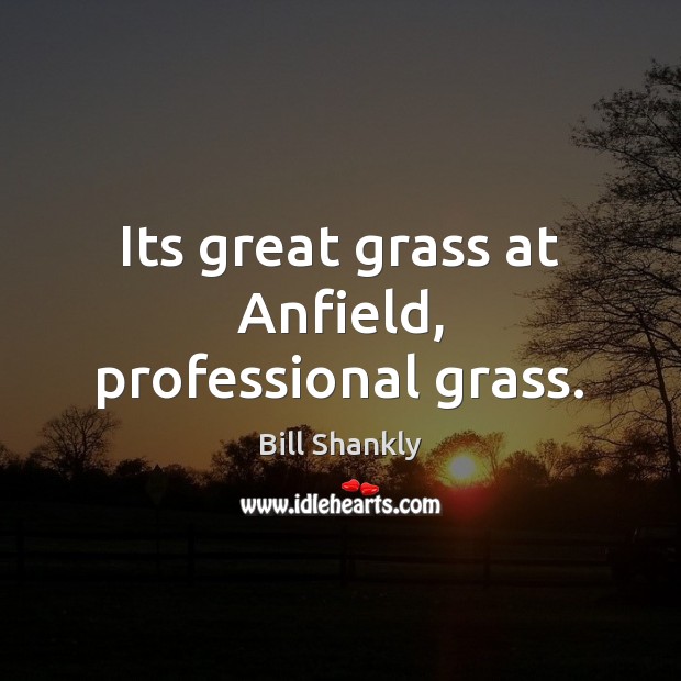 Its great grass at Anfield, professional grass. Bill Shankly Picture Quote