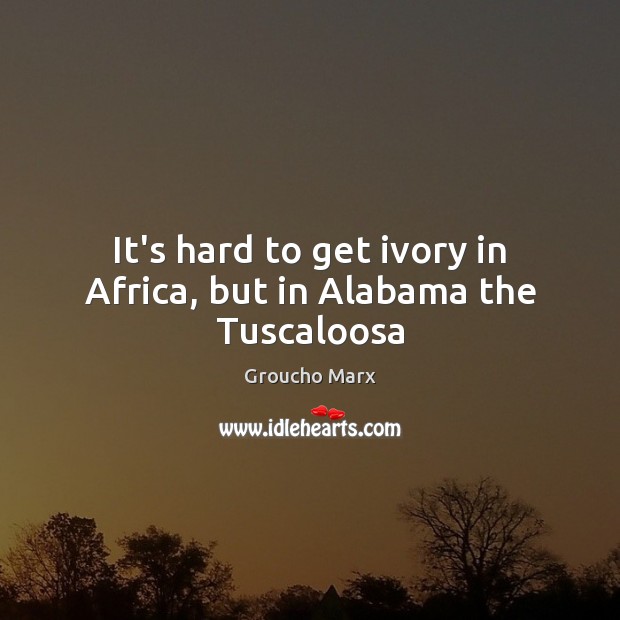 It’s hard to get ivory in Africa, but in Alabama the Tuscaloosa Groucho Marx Picture Quote