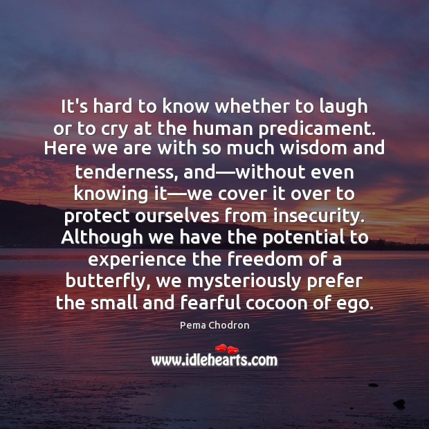 It’s hard to know whether to laugh or to cry at the Pema Chodron Picture Quote