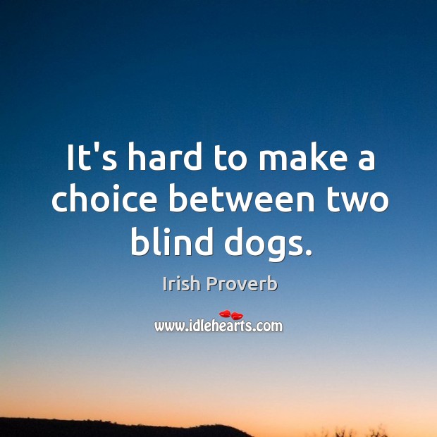 It’s hard to make a choice between two blind dogs. Irish Proverbs Image