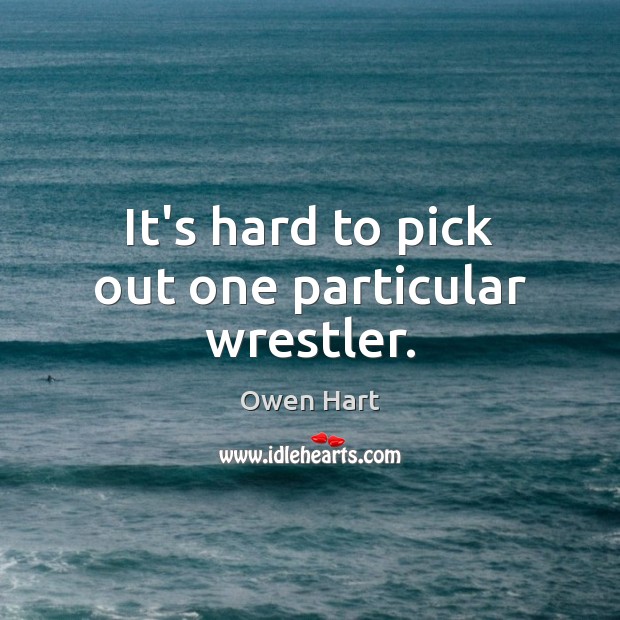 It’s hard to pick out one particular wrestler. Owen Hart Picture Quote