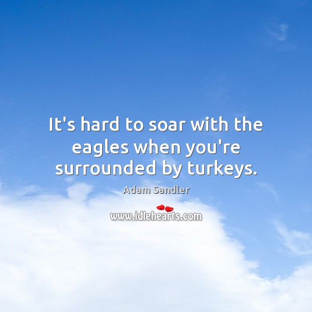 It’s hard to soar with the eagles when you’re surrounded by turkeys. Image