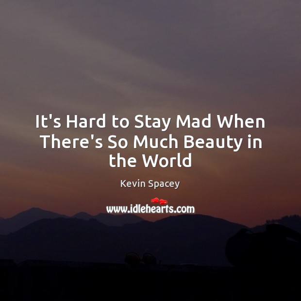 It’s Hard to Stay Mad When There’s So Much Beauty in the World Kevin Spacey Picture Quote