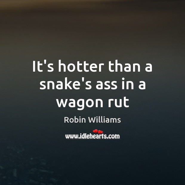 It’s hotter than a snake’s ass in a wagon rut Robin Williams Picture Quote