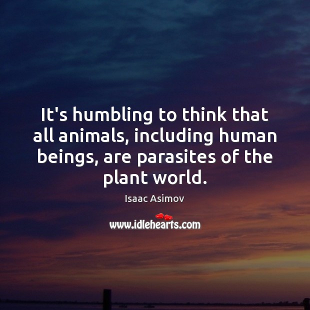 It’s humbling to think that all animals, including human beings, are parasites Isaac Asimov Picture Quote