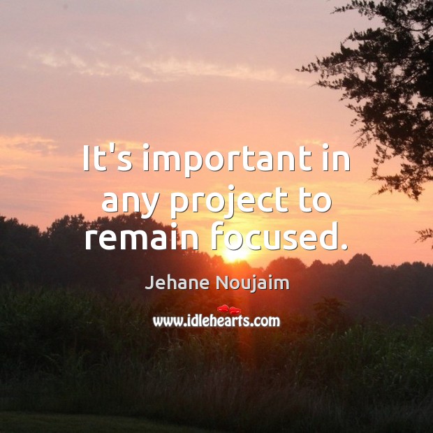 It’s important in any project to remain focused. Jehane Noujaim Picture Quote