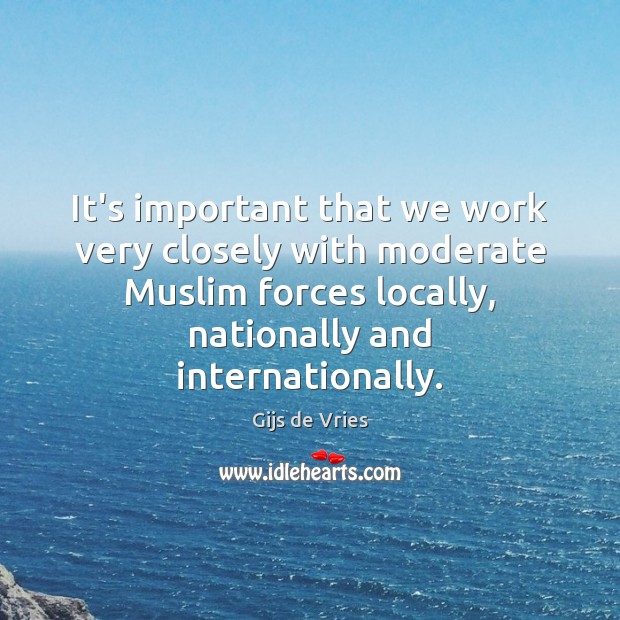 It’s important that we work very closely with moderate Muslim forces locally, Gijs de Vries Picture Quote