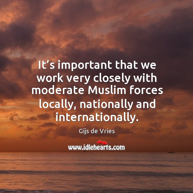 It’s important that we work very closely with moderate muslim forces locally Gijs de Vries Picture Quote