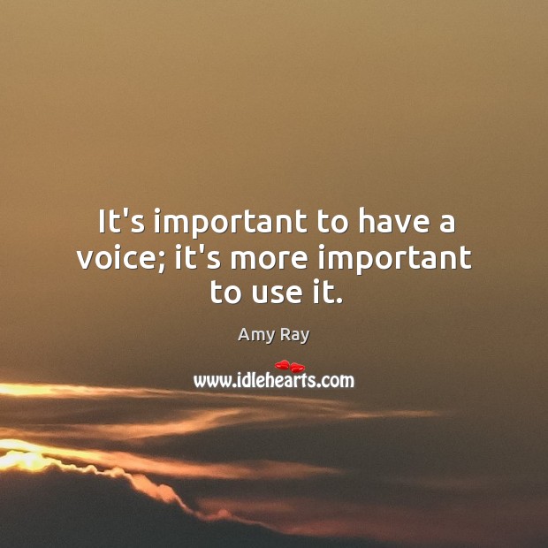 It’s important to have a voice; it’s more important to use it. Amy Ray Picture Quote