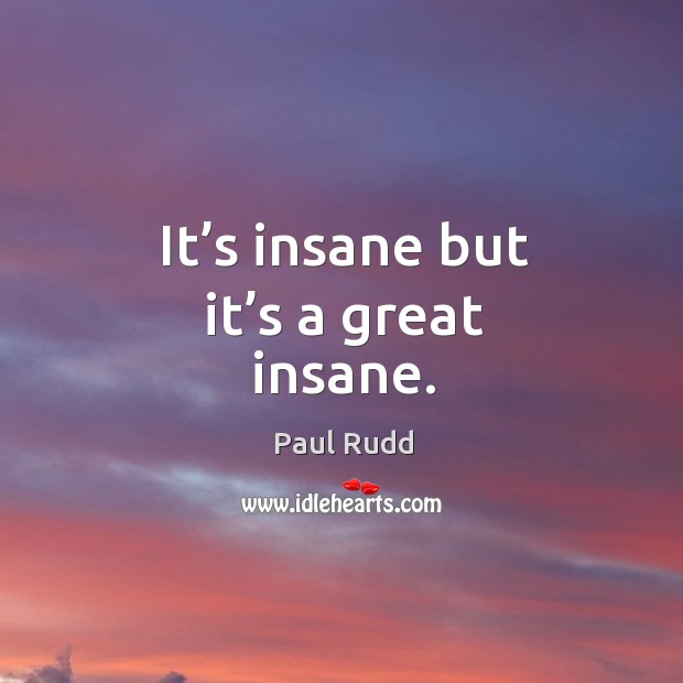 It’s insane but it’s a great insane. Paul Rudd Picture Quote