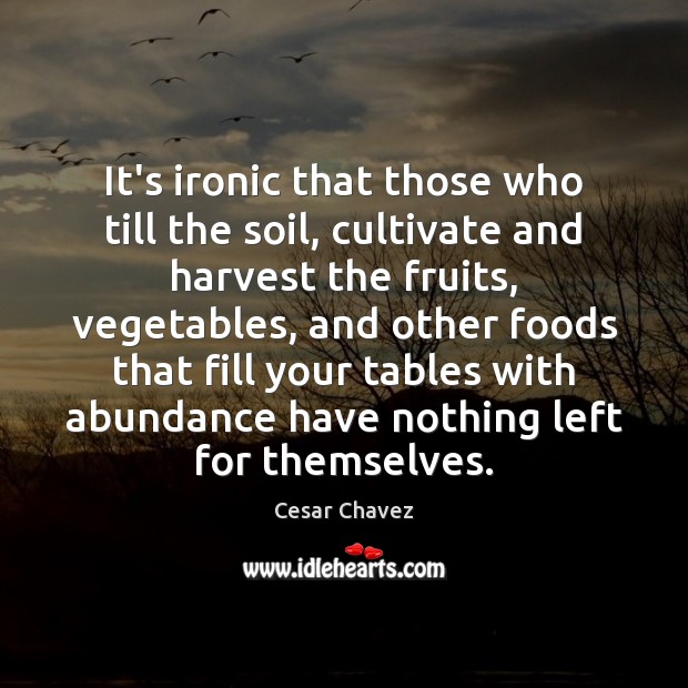 It’s ironic that those who till the soil, cultivate and harvest the Cesar Chavez Picture Quote