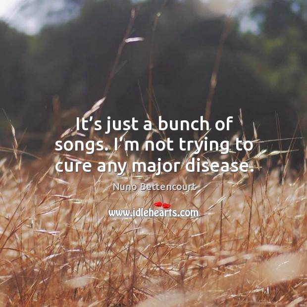 It’s just a bunch of songs. I’m not trying to cure any major disease. Image