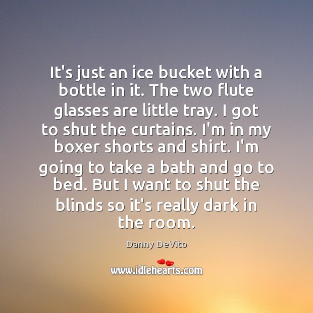 It’s just an ice bucket with a bottle in it. The two Danny DeVito Picture Quote