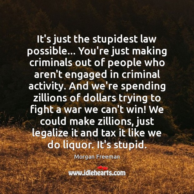It’s just the stupidest law possible… You’re just making criminals out of Morgan Freeman Picture Quote
