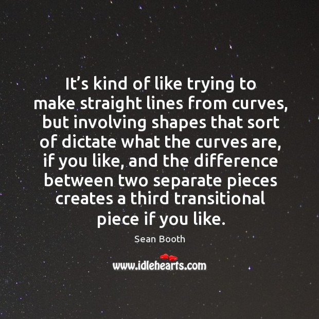 It’s kind of like trying to make straight lines from curves Sean Booth Picture Quote