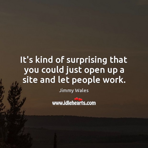 It’s kind of surprising that you could just open up a site and let people work. Jimmy Wales Picture Quote