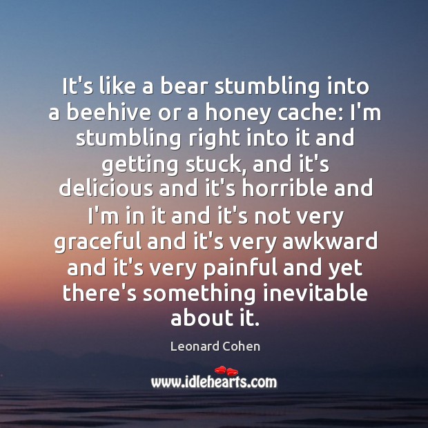 It’s like a bear stumbling into a beehive or a honey cache: Leonard Cohen Picture Quote