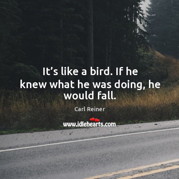 It’s like a bird. If he knew what he was doing, he would fall. Carl Reiner Picture Quote