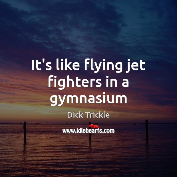 It’s like flying jet fighters in a gymnasium Dick Trickle Picture Quote