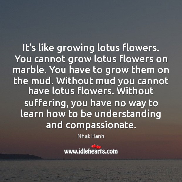 It’s like growing lotus flowers. You cannot grow lotus flowers on marble. Nhat Hanh Picture Quote