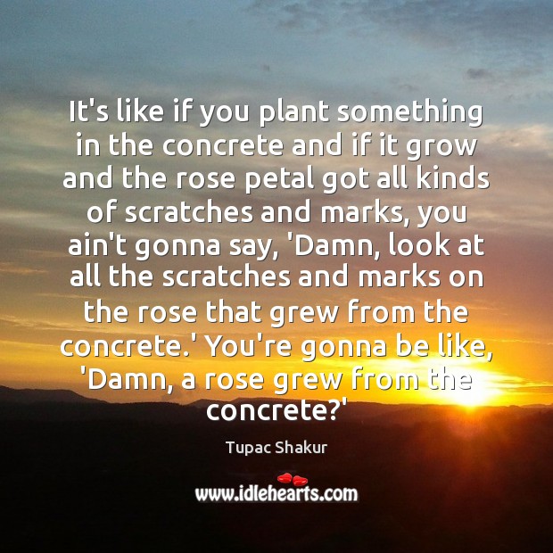 It’s like if you plant something in the concrete and if it Tupac Shakur Picture Quote