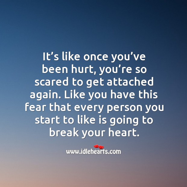 It’s like once you’ve been hurt, you’re so scared to get attached again. Image