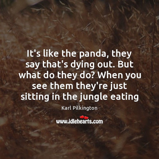 It’s like the panda, they say that’s dying out. But what do Karl Pilkington Picture Quote