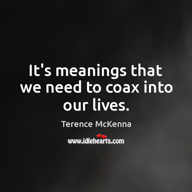 It’s meanings that we need to coax into our lives. Terence McKenna Picture Quote