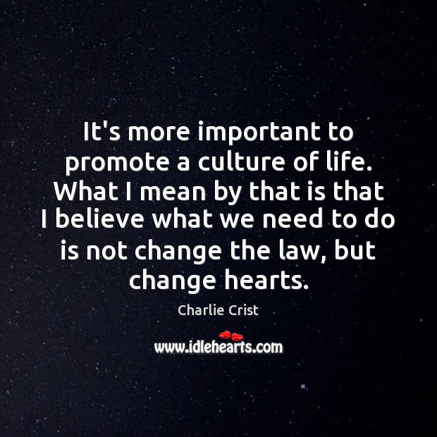 It’s more important to promote a culture of life. What I mean Charlie Crist Picture Quote