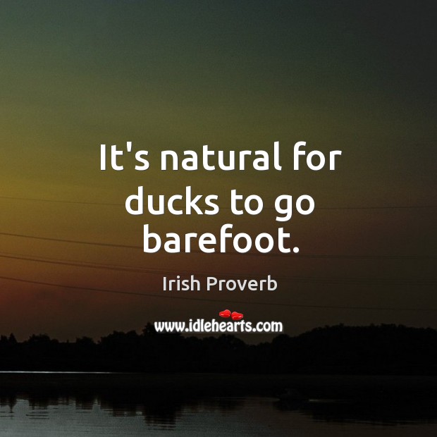 It’s natural for ducks to go barefoot. Irish Proverbs Image