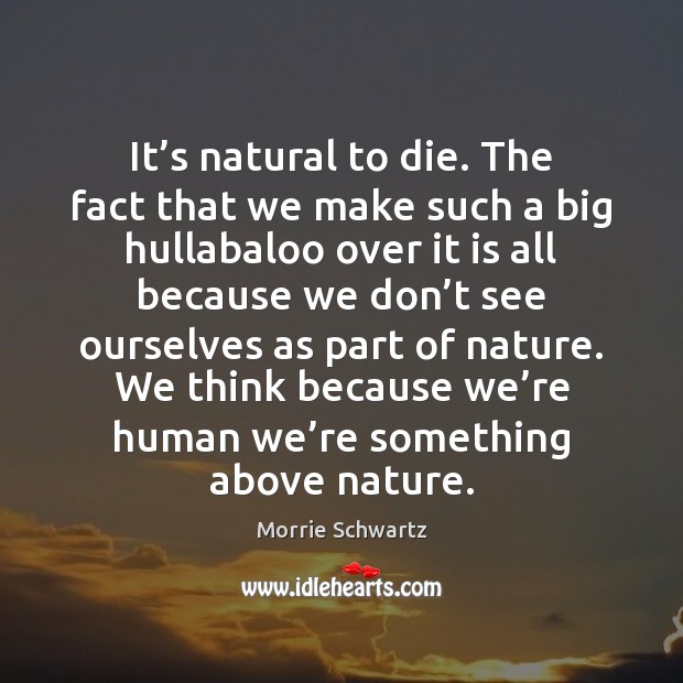 It’s natural to die. The fact that we make such a Morrie Schwartz Picture Quote