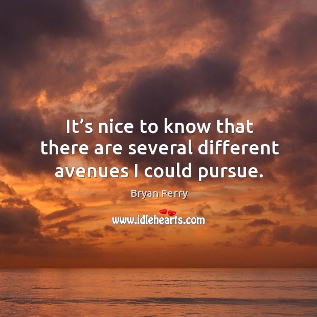 It’s nice to know that there are several different avenues I could pursue. Bryan Ferry Picture Quote