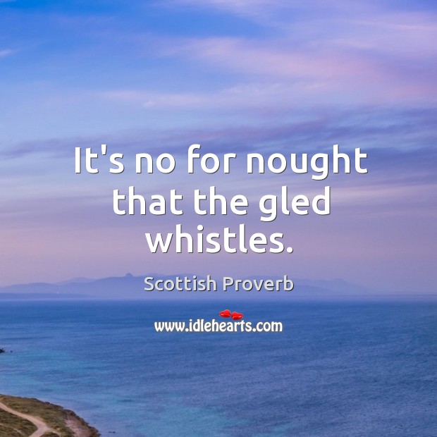 It’s no for nought that the gled whistles. Scottish Proverbs Image