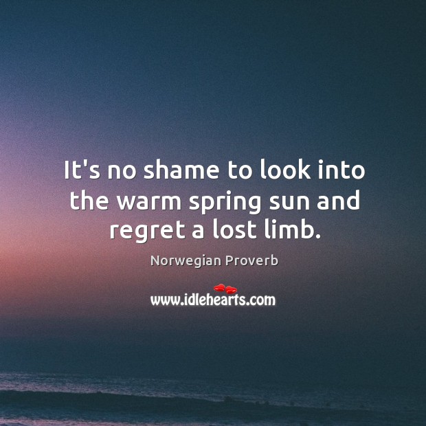 It’s no shame to look into the warm spring sun and regret a lost limb. Norwegian Proverbs Image