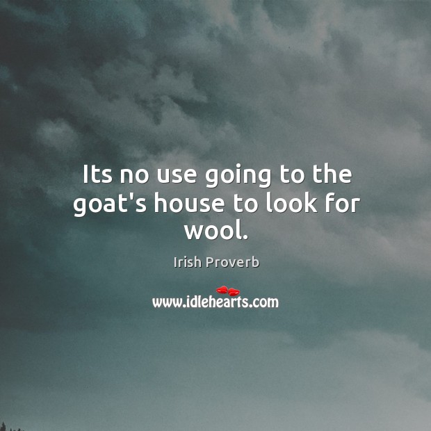 Its no use going to the goat’s house to look for wool. Image