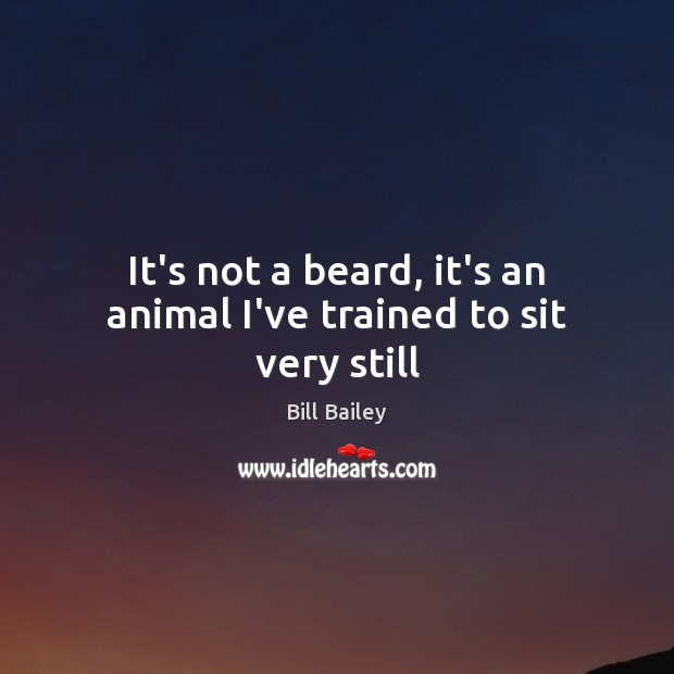 It’s not a beard, it’s an animal I’ve trained to sit very still Bill Bailey Picture Quote