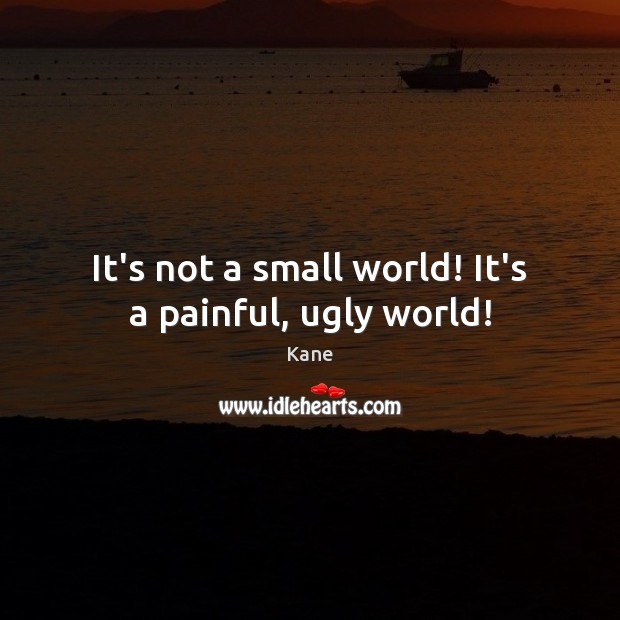 It’s not a small world! It’s a painful, ugly world! Kane Picture Quote