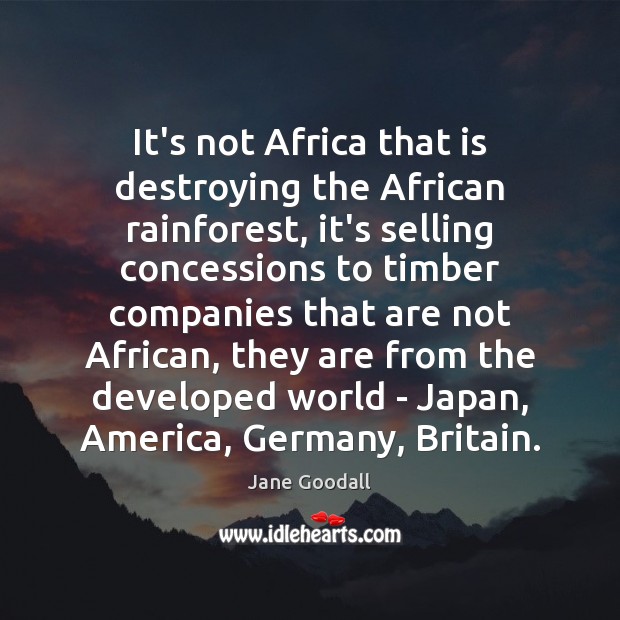 It’s not Africa that is destroying the African rainforest, it’s selling concessions Image