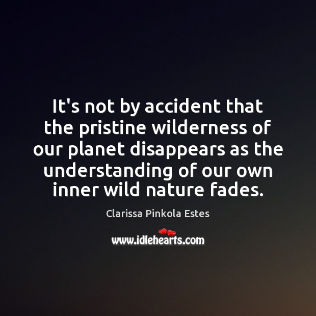It’s not by accident that the pristine wilderness of our planet disappears Understanding Quotes Image