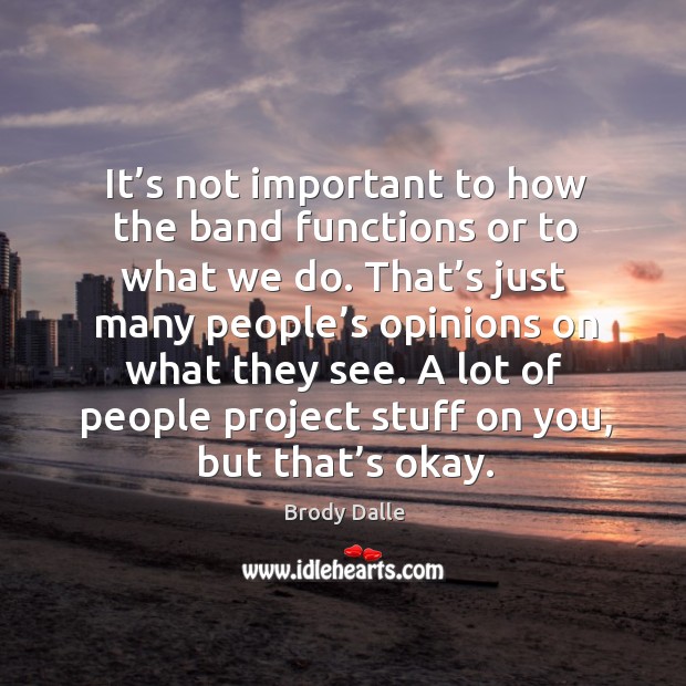It’s not important to how the band functions or to what we do. Brody Dalle Picture Quote