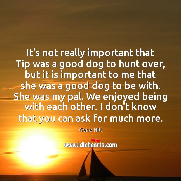 It’s not really important that Tip was a good dog to hunt Gene Hill Picture Quote