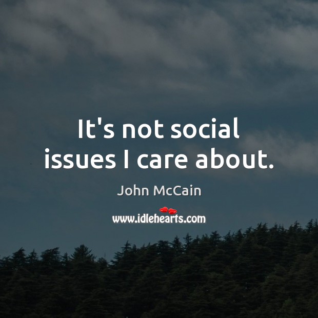 It’s not social issues I care about. John McCain Picture Quote