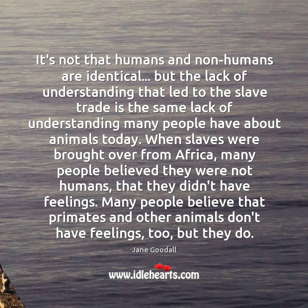 It’s not that humans and non-humans are identical… but the lack of Jane Goodall Picture Quote