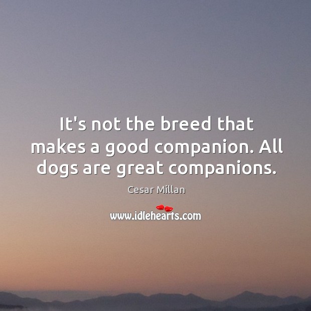 It’s not the breed that makes a good companion. All dogs are great companions. Cesar Millan Picture Quote